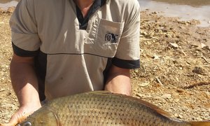 Dirk en Varswater blinklywe